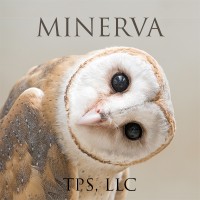 Minerva Turning Point Strategies, LLC logo - Similar company to Zwerlingschachterzwerling