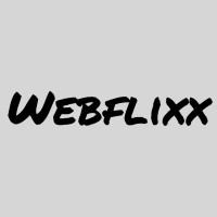 Webflixx logo - Similar company to Indore Web Expert