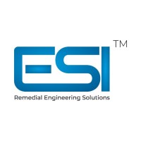 ESI Services India LLP logo - Similar company to P2G Engineering Services Ltd