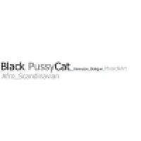 Black Pussycat - Henrysonbalogun Music Inc Limited
