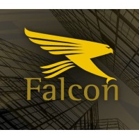 Falcon | Serviços Contábeis & Gestão Empresarial logo - Similar company to Amr Connection