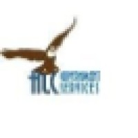 Hlc Government Services