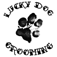 Lucky Dog Grooming logo - Similar company to Paws Pet Grooming