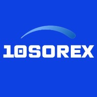 10SOREX logo - Similar company to Accelevate Solutions