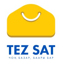 Tez Sat logo - Similar company to Geekstudio