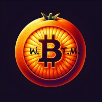 What Bitcoin Taught Me logo - Similar company to Bitcoin Arab