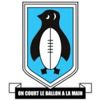 PENGUIN INTERNATIONAL RUGBY FOOTBALL CLUB logo - Similar company to Devry Scholarship Fund