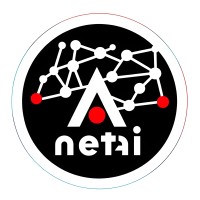 NetAi logo - Similar company to Netai Inc.