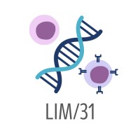 LIM/31 - Patogênese e Terapia dirigida em Onco-Imuno-Hematologia logo - Similar company to Inova Docente
