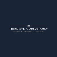 Third Eye Consultancy logo - Similar company to Cat Mgmnt