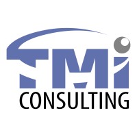TMI Consulting, LLC logo - Similar company to Tmi Solutions Llc