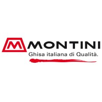 Montini S.p.A. logo - Similar company to Montini Group Srl