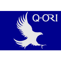 Q-Ori Llc