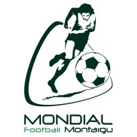 Mondial Football Montaigu logo - Similar company to Tv Vendée