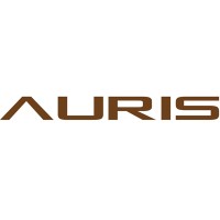 Auris Audio logo - Similar company to Mjolnir Technology
