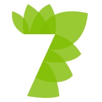 7 Rays Marketing