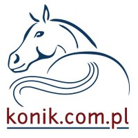 konik.com.pl logo - Similar company to The Centre Line
