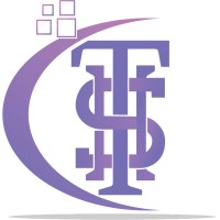 Techhive Solution logo - Similar company to Hive Tech Hub