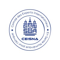 Comité d'Experts Internationaux en Santé Numérique pour l'Afrique (CEiSNA) logo - Similar company to Kwik Nkap Technologies Inc