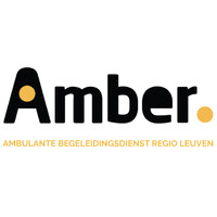 Amber vzw logo - Similar company to Galway City Net Zero Cities Programme