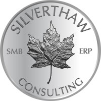 Silverthaw Consulting Ltd. logo - Similar company to Valuegap.Ai