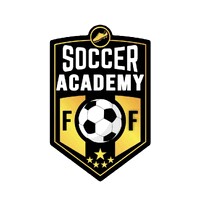 FF SOCCER ACADEMY logo - Similar company to Dsm Advisory