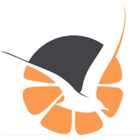 Tangiers Maritime logo - Similar company to Virtu Ferries S.R.L.