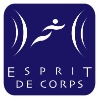 Groupe Esprit de Corps Inc. logo - Similar company to Avel [Impactful Scaling Consultancy]