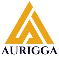 Aurigga Investments logo - Similar company to Sbecipher Capital