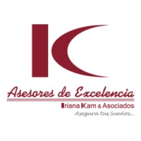 Asesores de Excelencia logo - Similar company to Skytex World