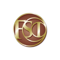 FSI Wealth Management Inc. logo - Similar company to Wealthstead Financial Advisors