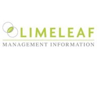 Limeleaf Management Information Ltd logo - Similar company to Limeleaf Media