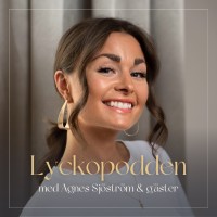 Lyckoverkstan AB logo - Similar company to Hellman & Co Oy