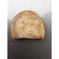 Metal Madencilik logo - Similar company to Oreko B.V.