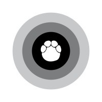 Kaston Telematics & IoT logo - Similar company to Raf Technology