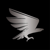 Buena Vida Supercars logo - Similar company to Virtual Green Business Support