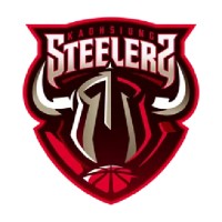 Kaohsiung Steelers 高雄鋼鐵人職業籃球隊 logo - Similar company to 和雲行動服務股份有限公司