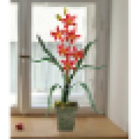 Nadia's Silk Flowers