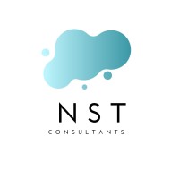 NST Consultants logo - Similar company to Digi Yeah!