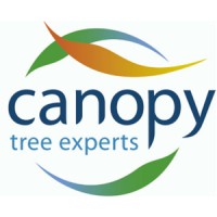Canopy The Tree Experts