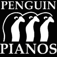 PENGUIN PIANOS logo - Similar company to Penguinpeak Technologies Pvt Ltd