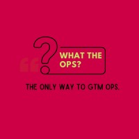 What the Ops? logo - Similar company to Ainet Devices Ltd