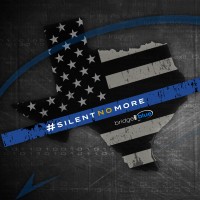 Bridge The Blue logo - Similar company to Gpi Defense