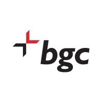BGC Group logo - Similar company to Butterfly Effect