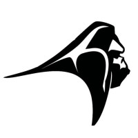 SilverBack Capital logo - Similar company to Silverback Capital Incorporated