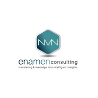 ENAMEN Consulting logo - Similar company to Fsec