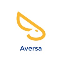 SoloAffitti Aversa logo - Similar company to Phoenix Edit