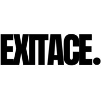ExitAce logo - Similar company to Techfine Web Services