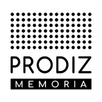 Prodiz Memoria logo - Similar company to Allerust