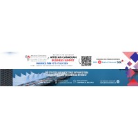 African Canadian Business Chamber logo - Similar company to Black Women Business Network